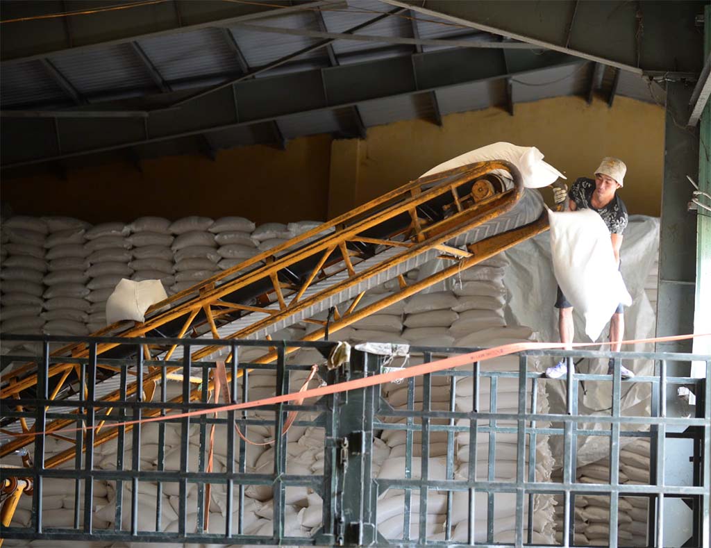 Cú hích mới cho gạo Việt- Ảnh 3.