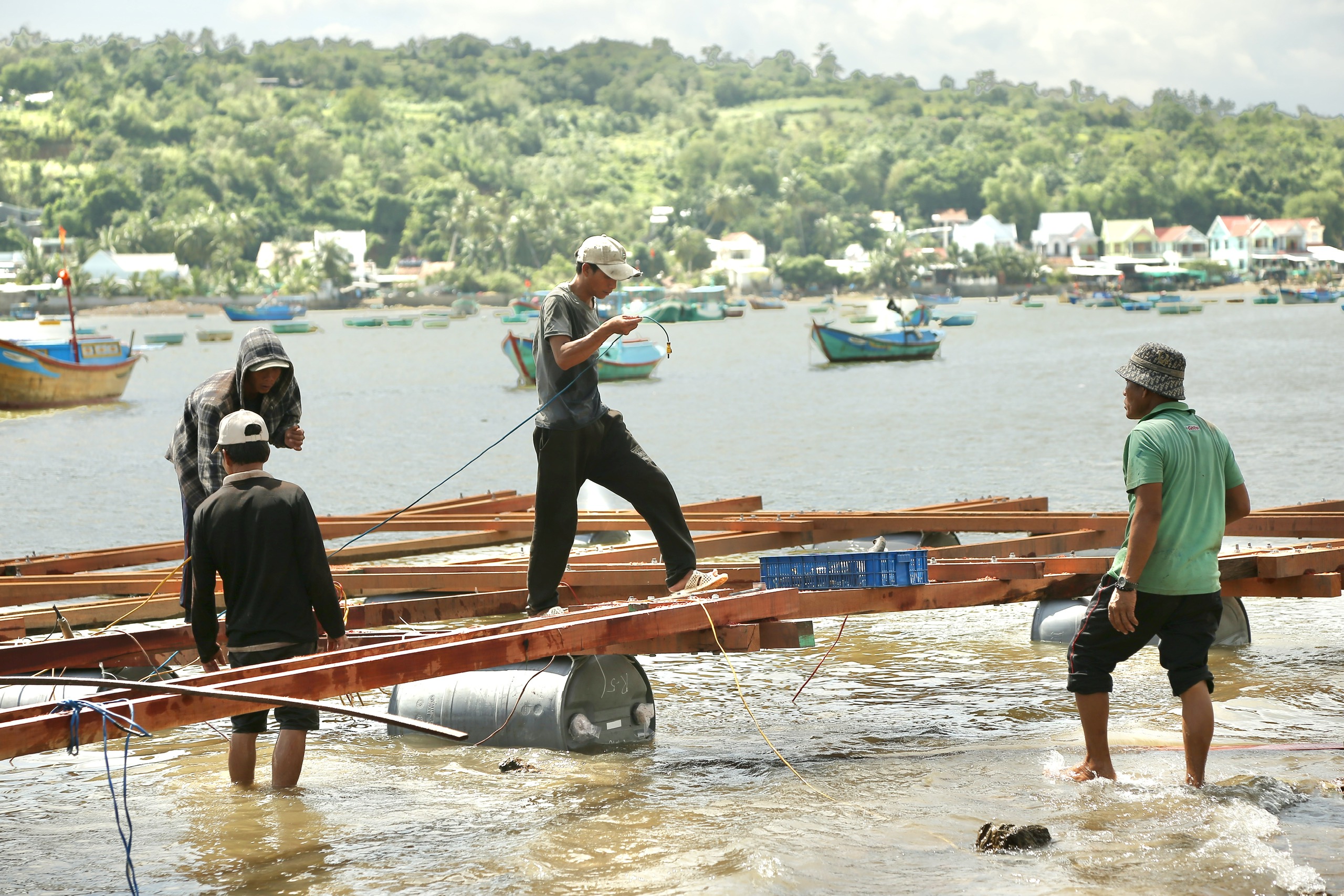 Thủ phủ tôm hùm Sông Cầu tan tác sau bão: Lồng bè cuốn trôi, ngư dân chết lặng - Ảnh 2.