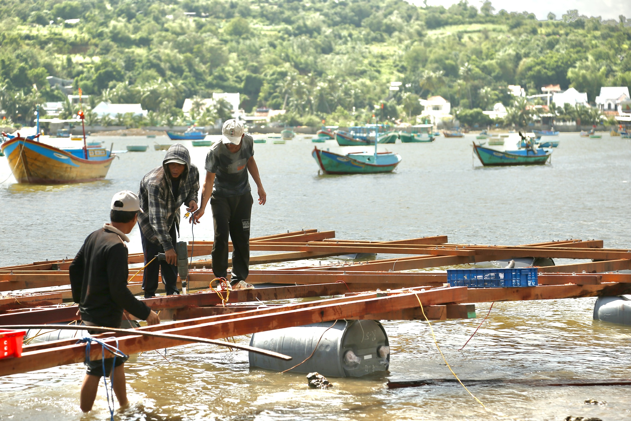 Thủ phủ tôm hùm Sông Cầu tan tác sau bão: Lồng bè cuốn trôi, ngư dân chết lặng - Ảnh 3.