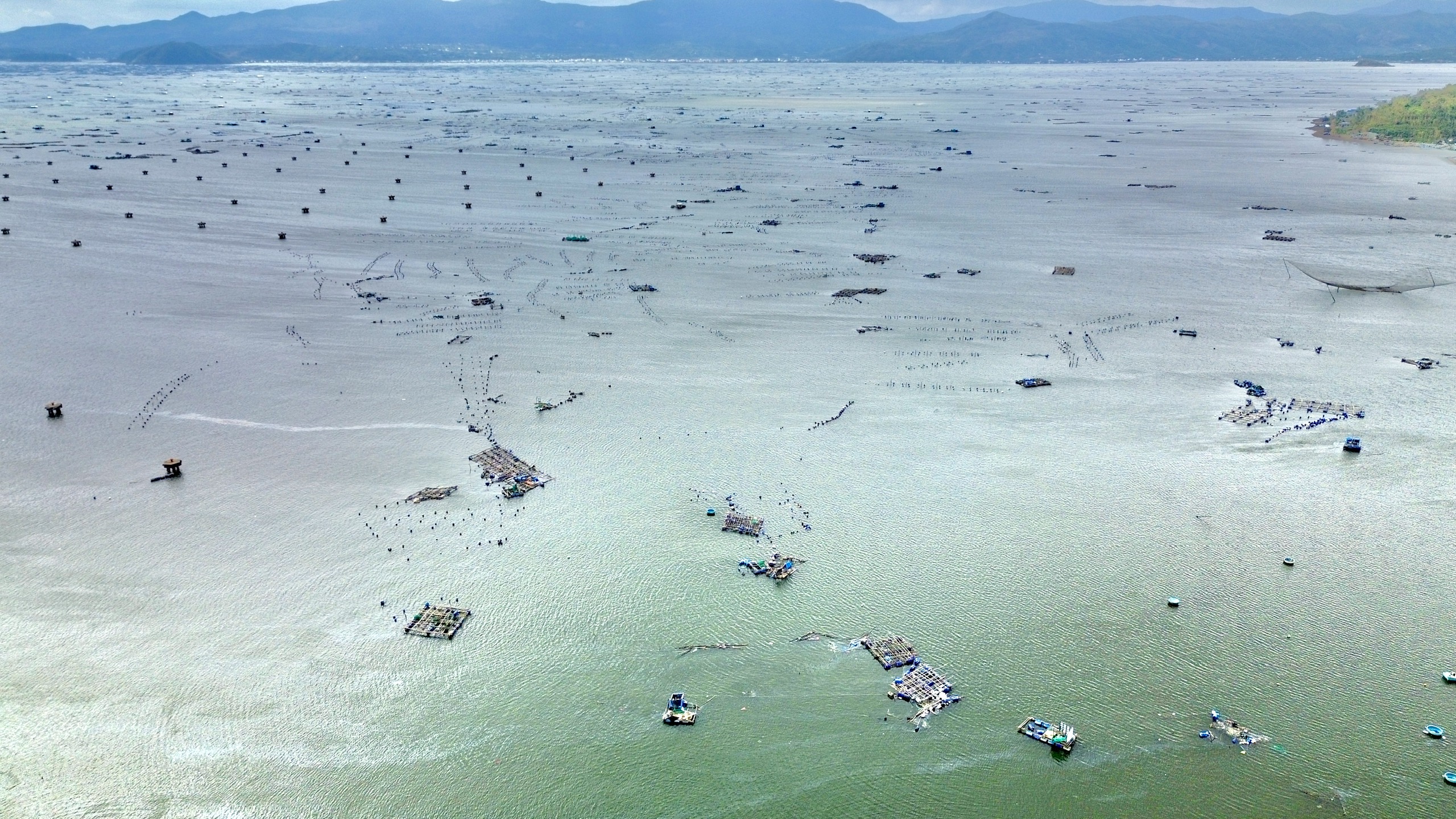 Thủ phủ tôm hùm Sông Cầu tan tác sau bão: Lồng bè cuốn trôi, ngư dân chết lặng - Ảnh 1.