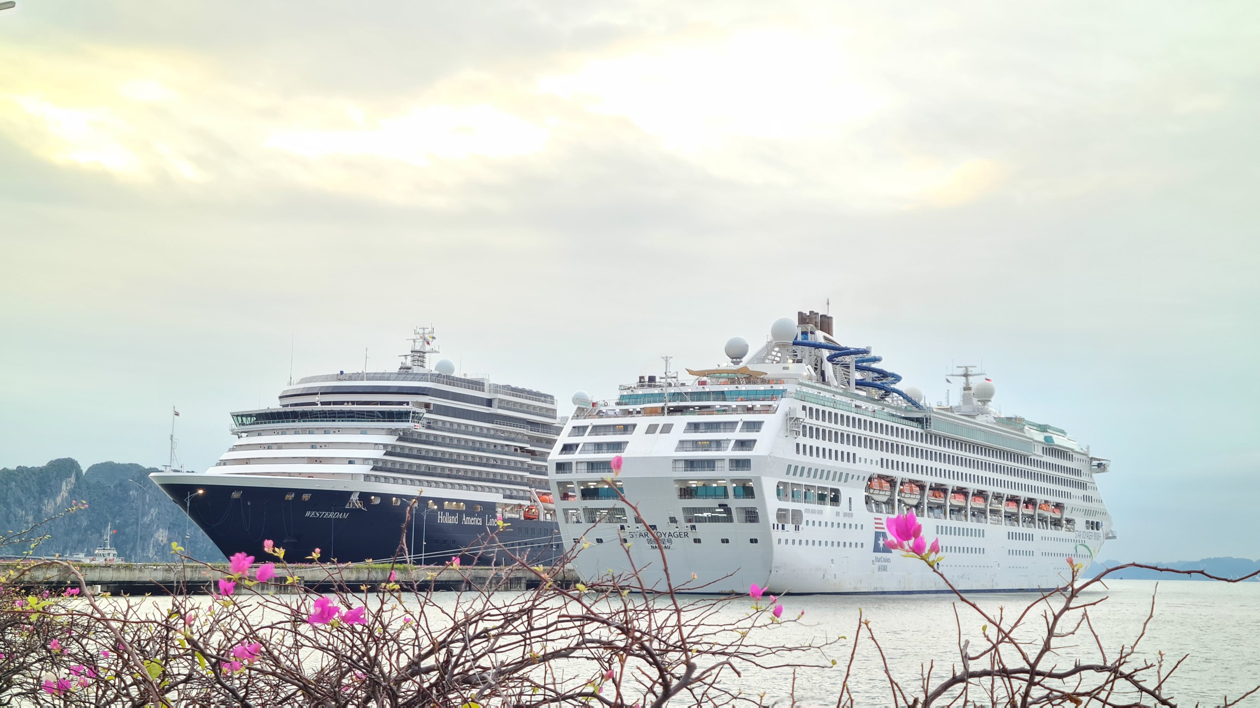 Hạ Long đón hơn 3.100 khách quốc tế từ 2 siêu du thuyền - Ảnh 1.