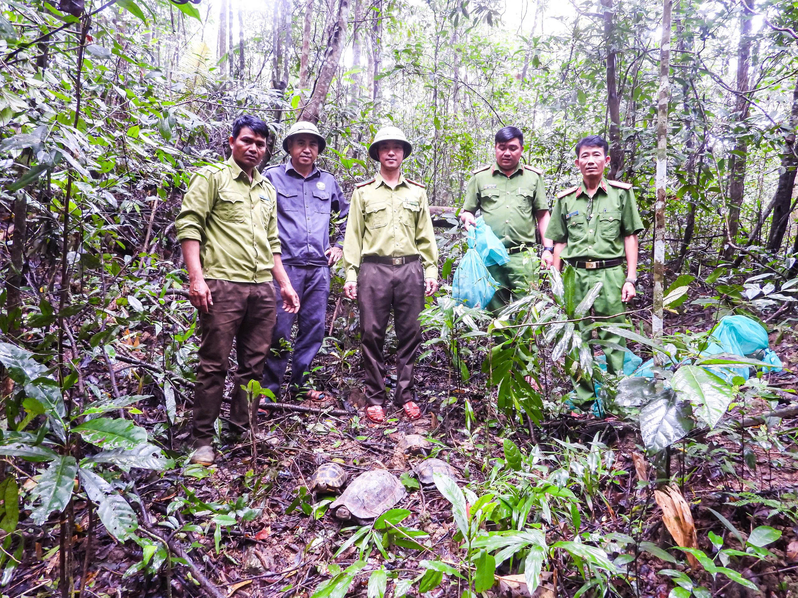 Đưa thú về Vườn Quốc gia Kon Ka Kinh - Ảnh 1.