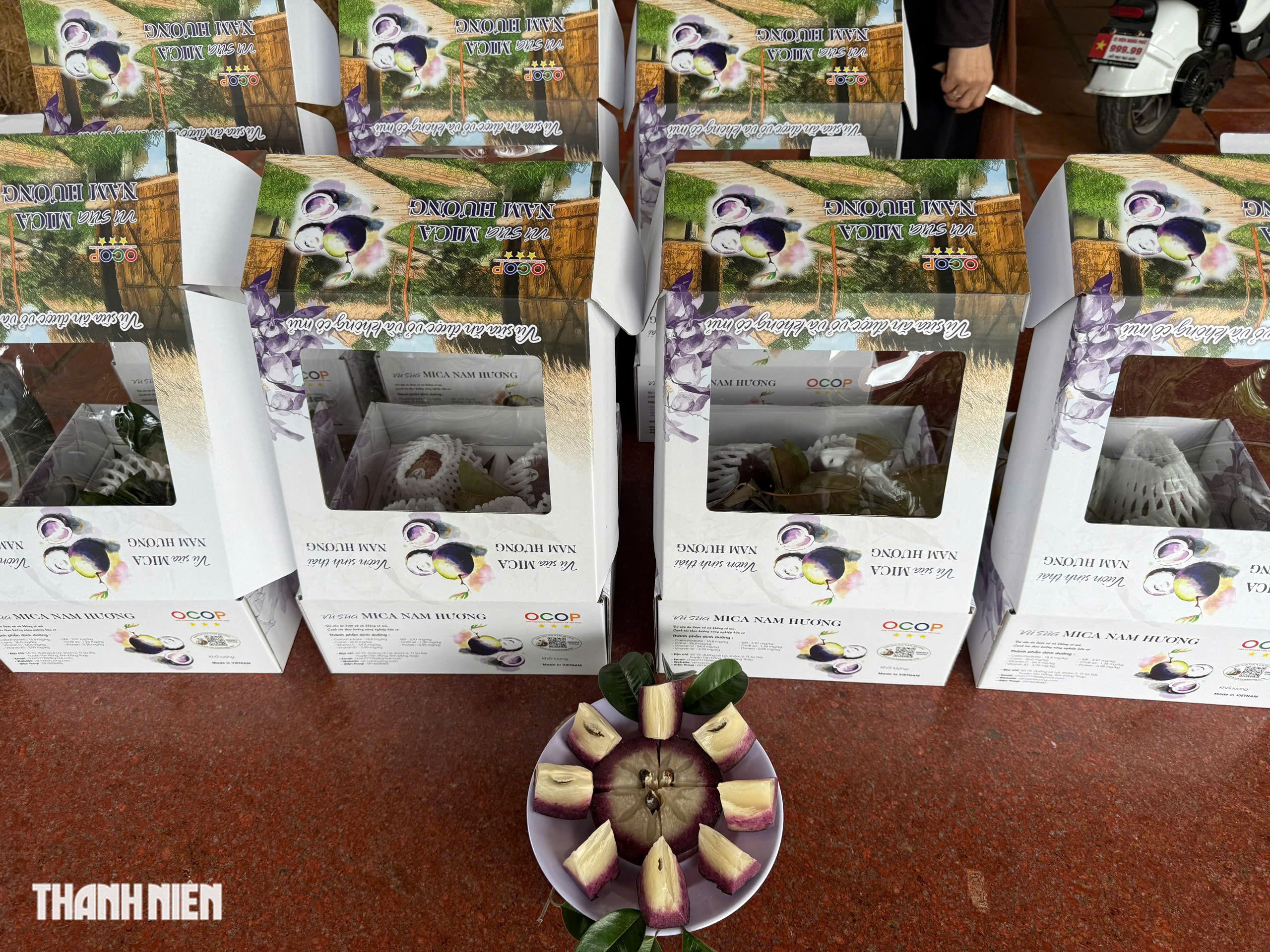 Kỹ sư thủy sản trồng thành công vườn vú sữa có thể ăn được cả vỏ- Ảnh 4.