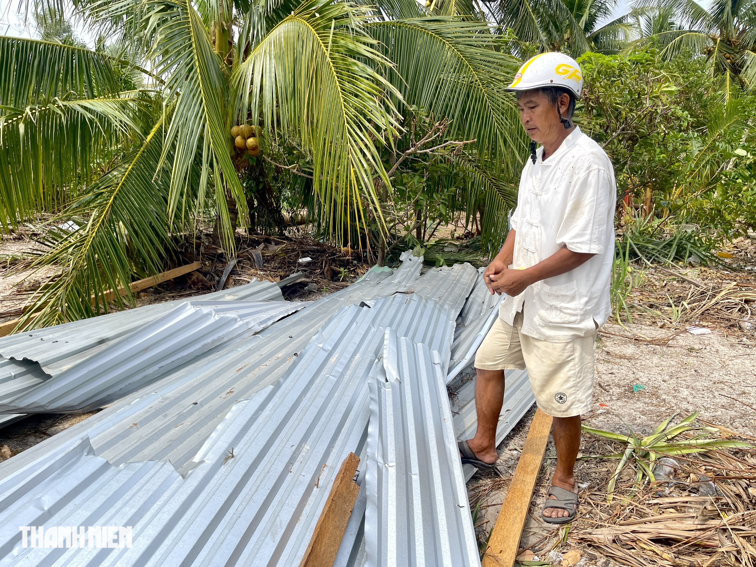 Cận cảnh cây dừa bị tôn cắt làm đôi gây xôn xao dư luận  - Ảnh 4.