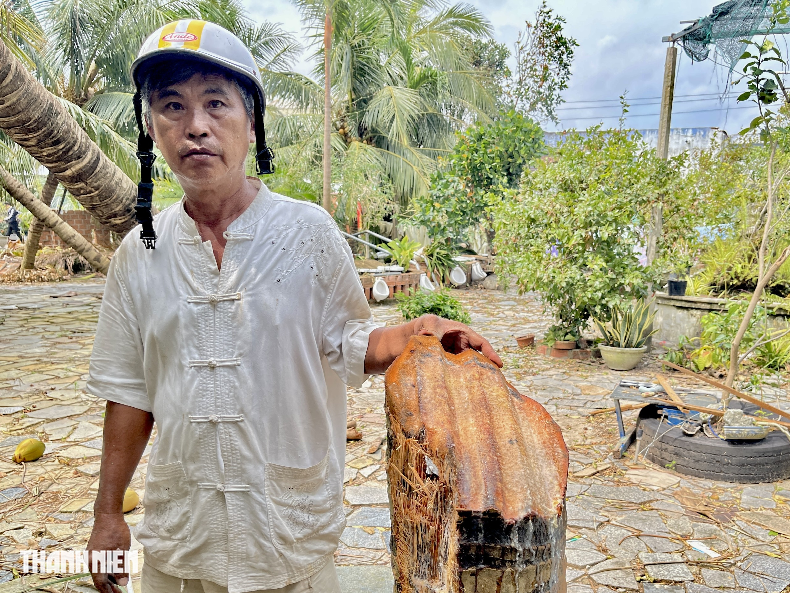 Cận cảnh cây dừa bị tôn cắt làm đôi gây xôn xao dư luận  - Ảnh 2.