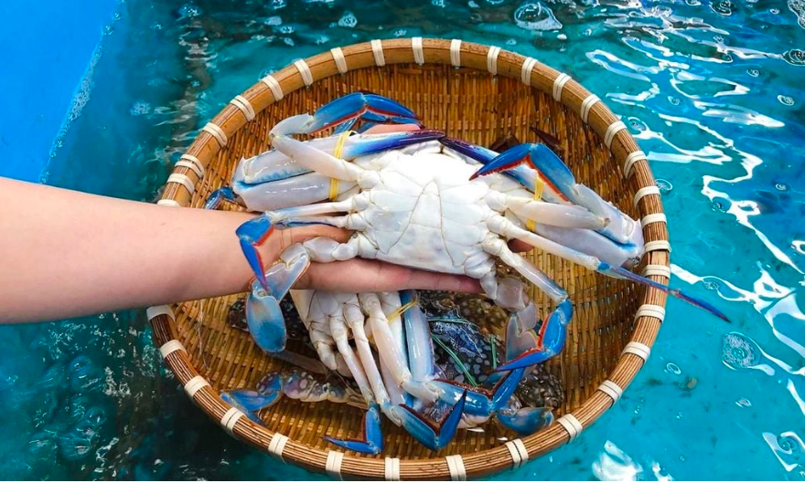 - Ảnh 1. - Ảnh 1.