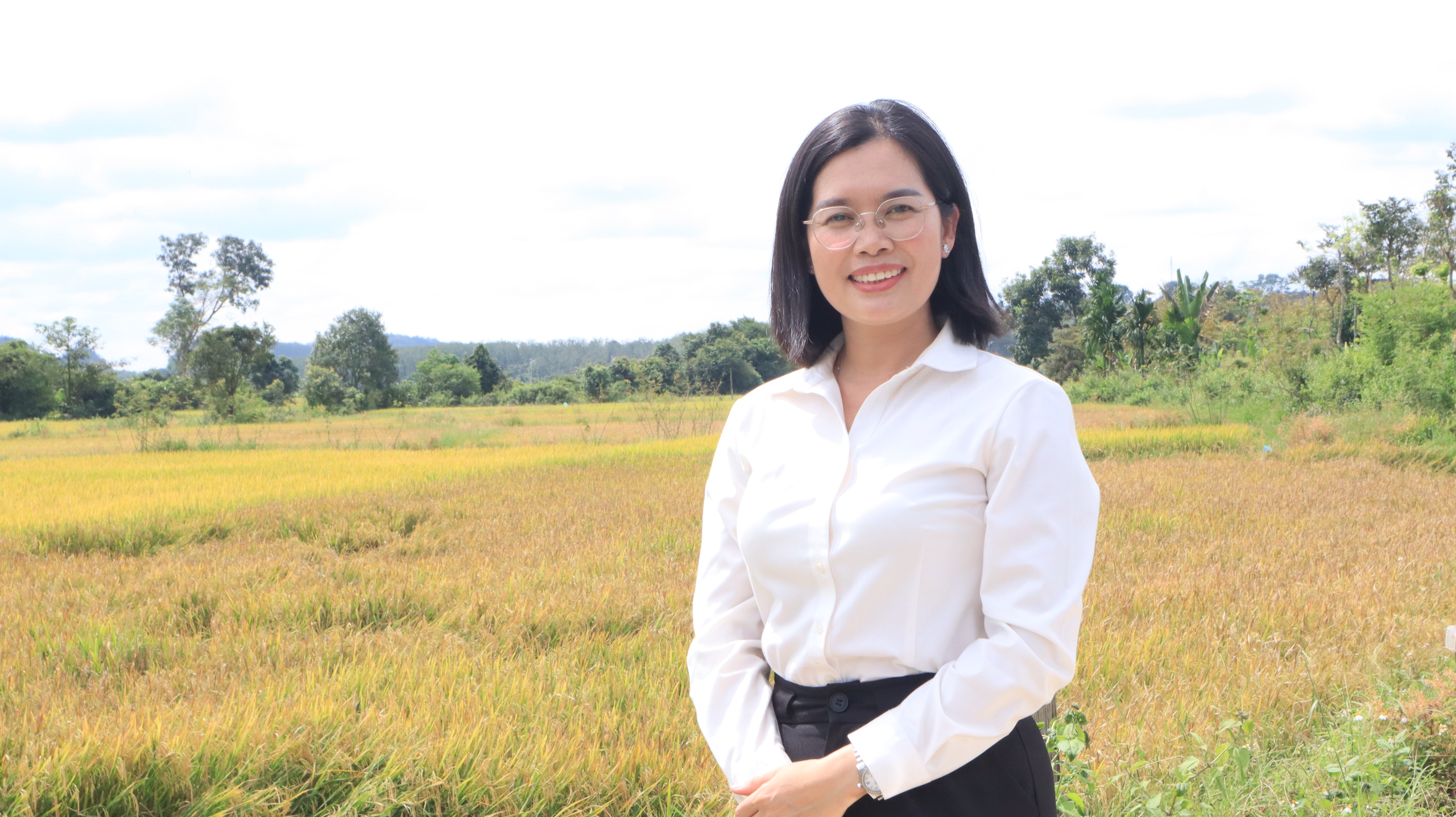 Cánh đồng lúa đẹp như tranh vẽ tại Đồng Nai- Ảnh 10. Cánh đồng lúa đẹp như tranh vẽ tại Đồng Nai- Ảnh 10.