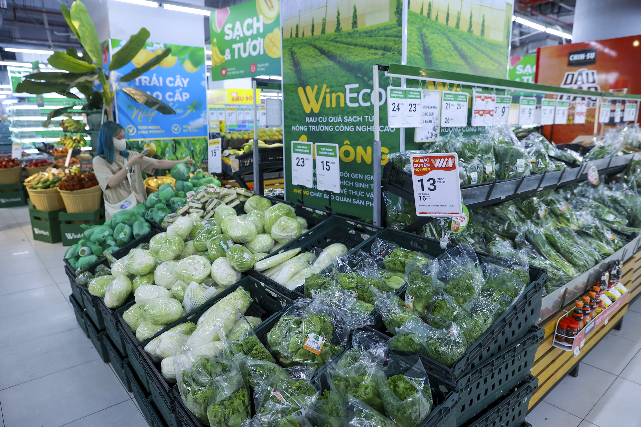 Masan giới thiệu mô hình nông nghiệp và vật liệu công nghiệp công nghệ cao- Ảnh 3.