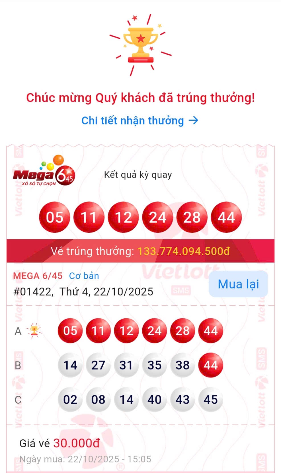 Trúng Vietlott hơn 133 tỉ đồng sau hai năm mua cùng dãy số- Ảnh 3.