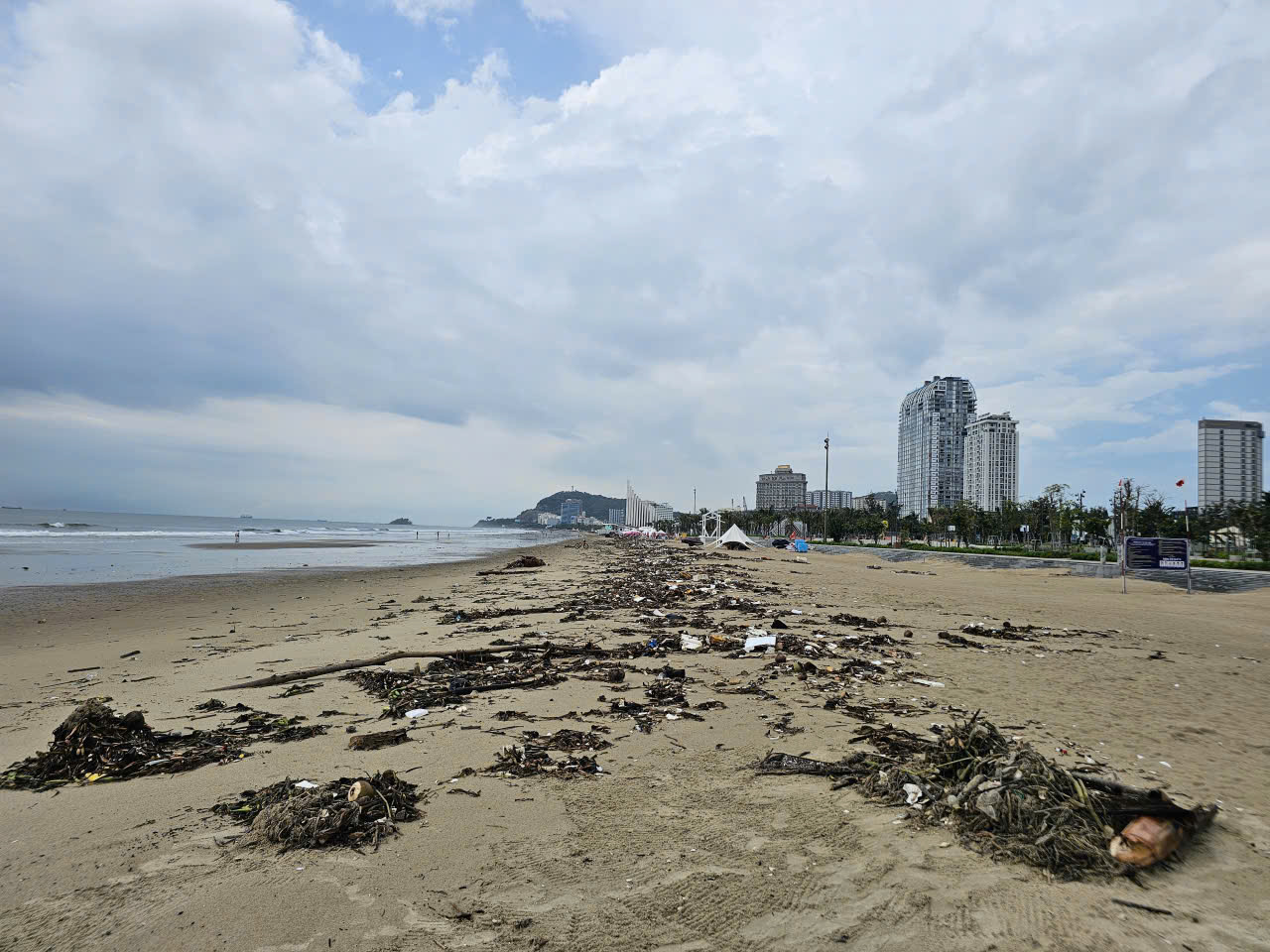 Rác đại dương tấn công Bãi Sau Vũng Tàu Sau công viên nghìn tỉ đồng - Ảnh 2.