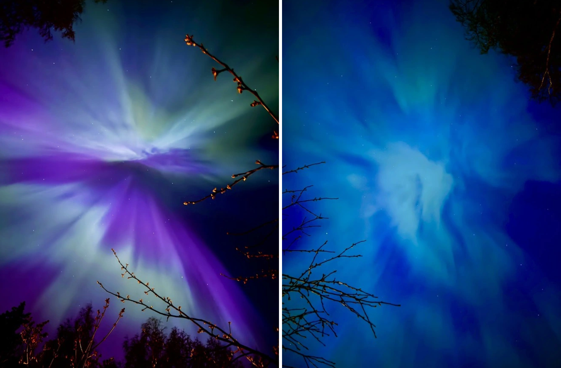 Người Việt bất ngờ thấy cực quang rực rỡ trên bầu trời Mỹ, chụp khoảnh khắc đẹp - Ảnh 3.