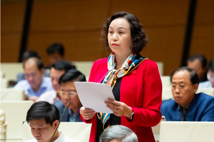 Mô hình thi hành án dân sự gặp bất cập , đại biểu Quốc hội đề xuất cải cách - Ảnh 3.