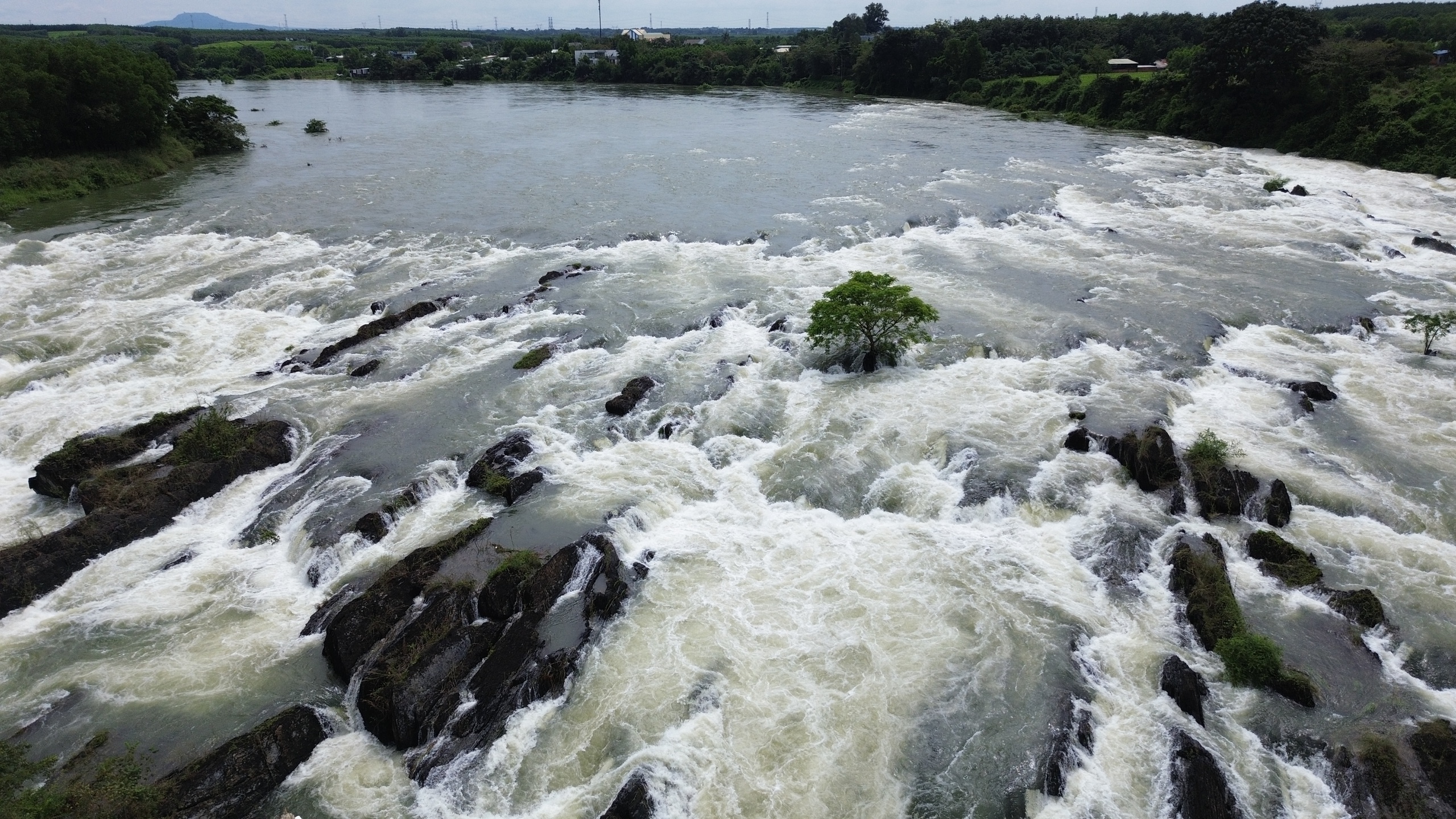 Thủy điện ở Đồng Nai xả lũ, thác Trị An hồi sinh- Ảnh 1.