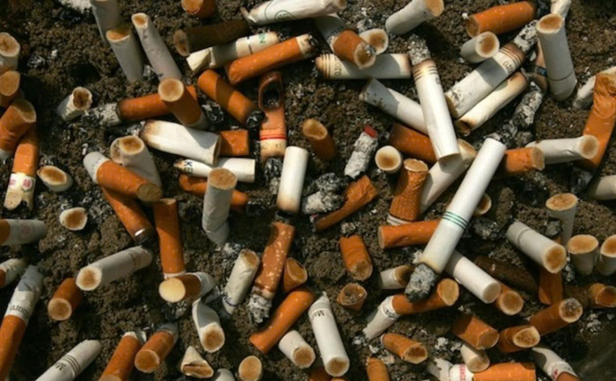 Khoảng 1,6 triệu người tử vong do hút thuốc lá thụ động mỗi năm- Ảnh 2.