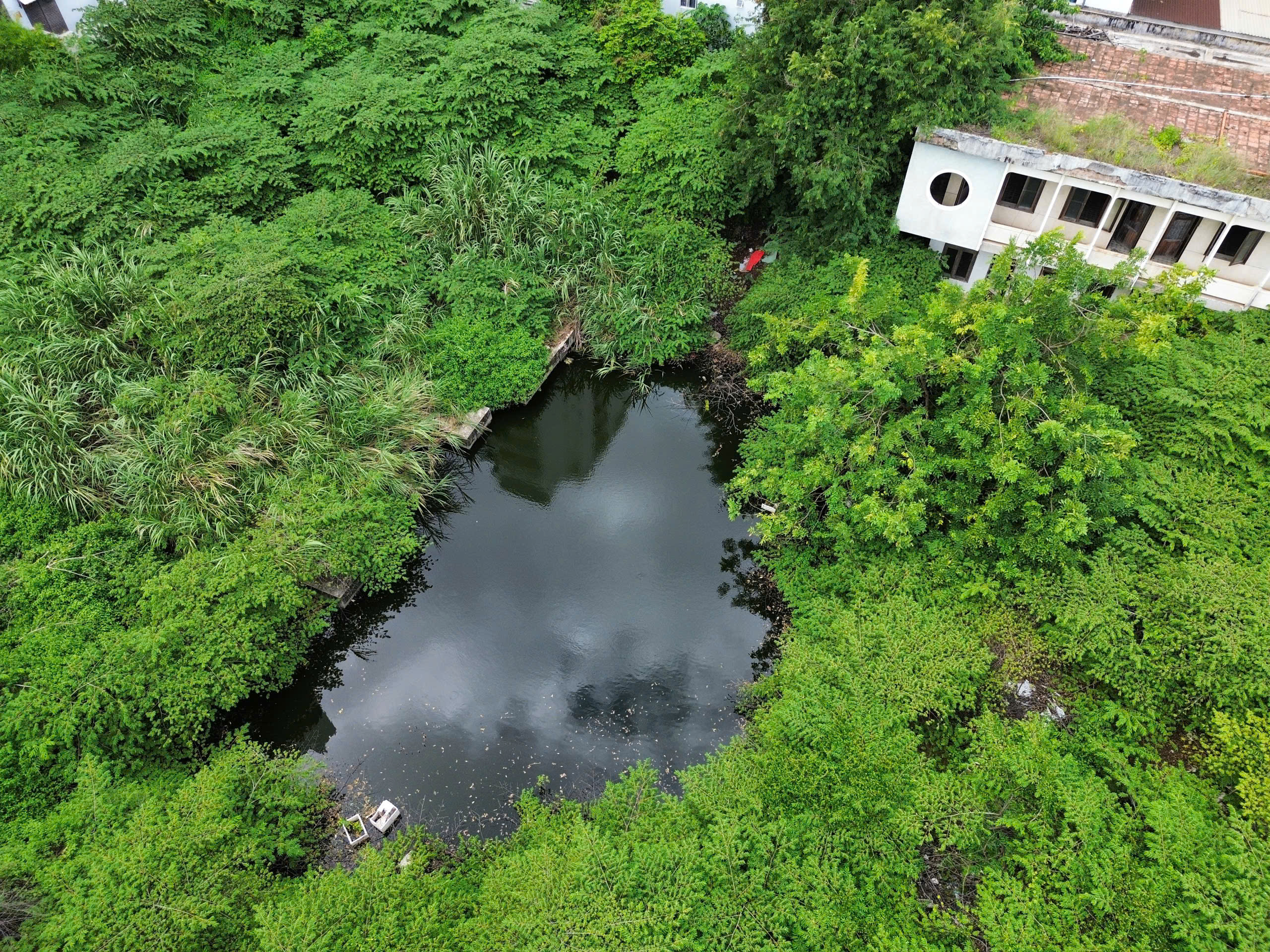 Khu 'đất vàng' bỏ hoang rộng 3.600 m² ven biển Nha Trang sắp được đấu giá- Ảnh 1. Khu 'đất vàng' bỏ hoang rộng 3.600 m² ven biển Nha Trang sắp được đấu giá- Ảnh 1.