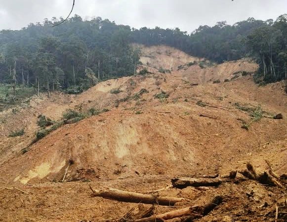 Đà Nẵng: Xác định danh tính 3 người nghi bị vùi lấp sau vụ sạt lở núi- Ảnh 1.