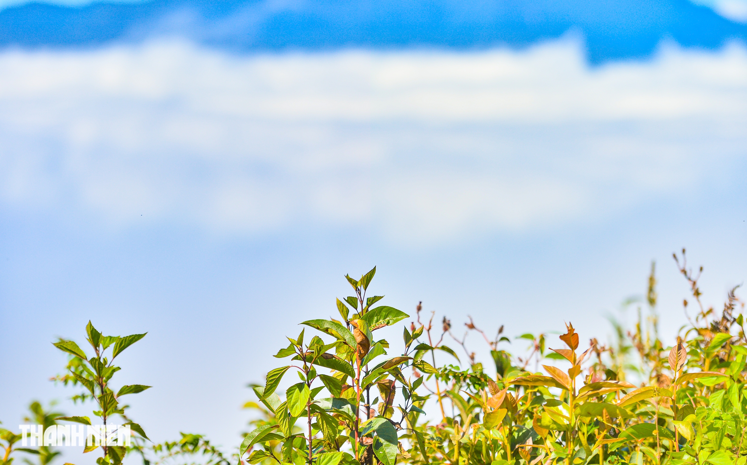 - תמונה 13. - Ảnh 13.