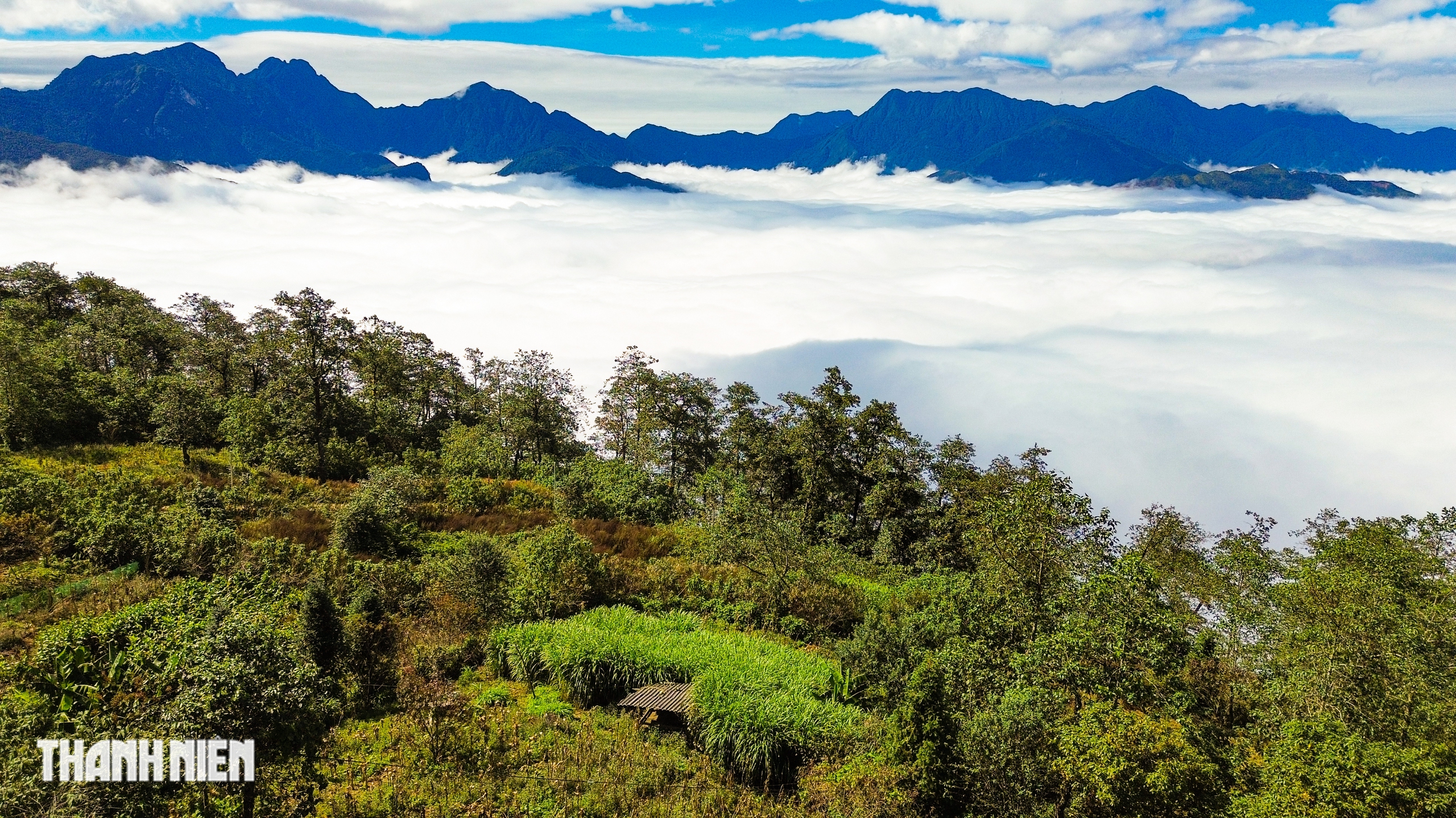 - תמונה 8. - Ảnh 8.