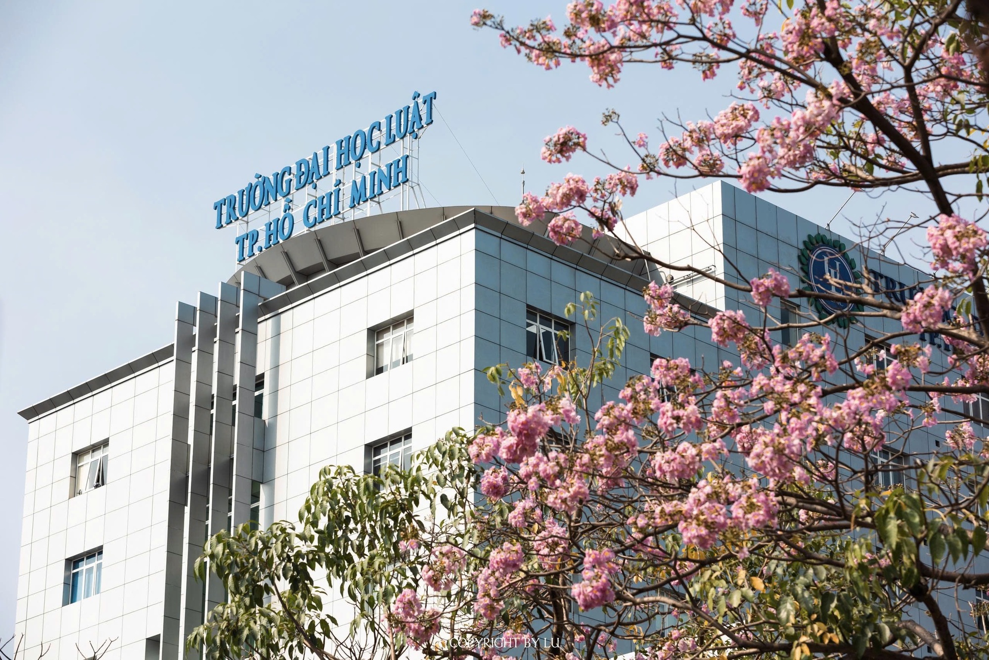 - Ảnh 2. - Ảnh 2.