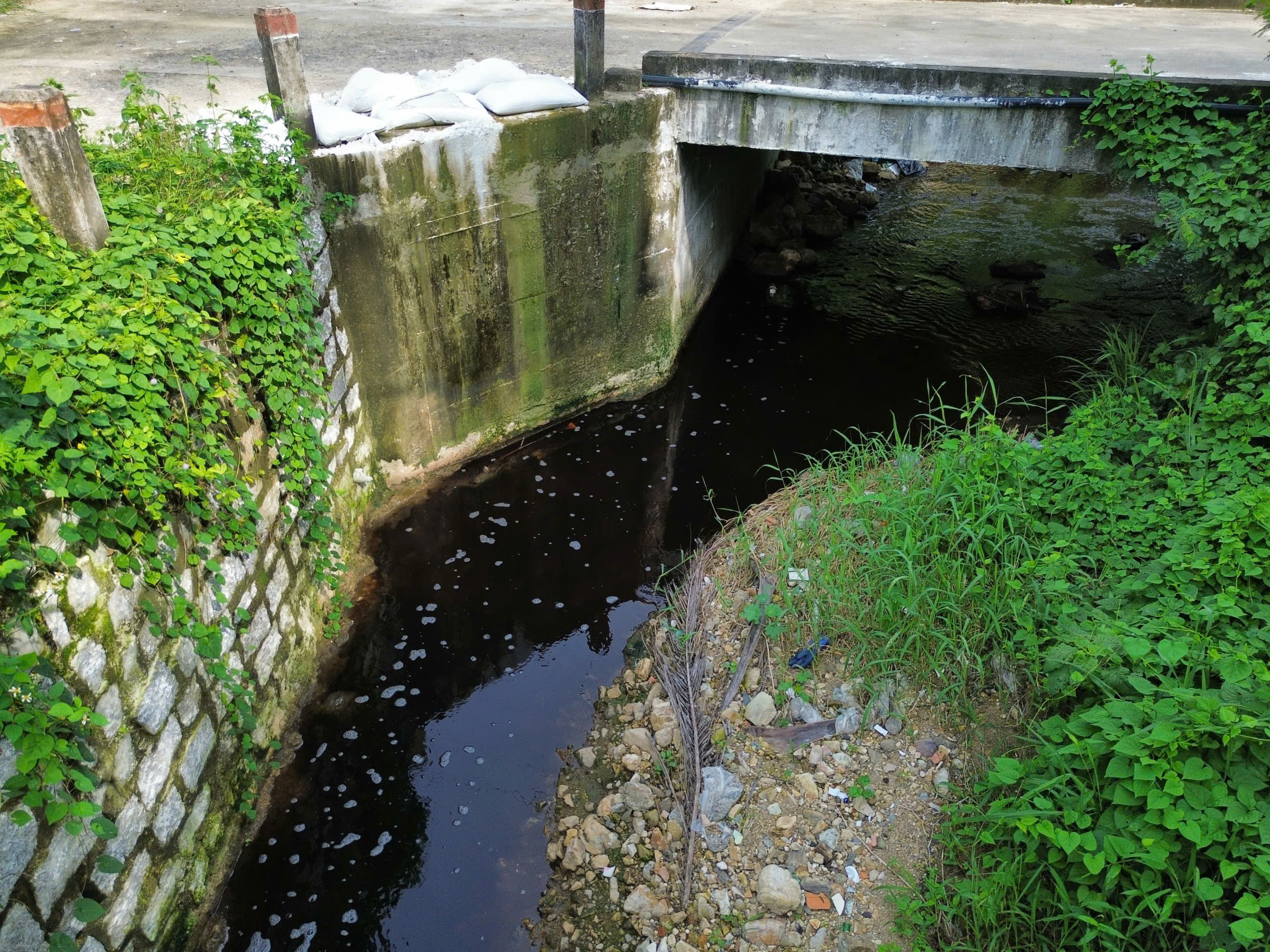 Khánh Hòa đề xuất giải pháp xử lý nước rỉ rác chảy ra biển Nha Trang - Ảnh 3.