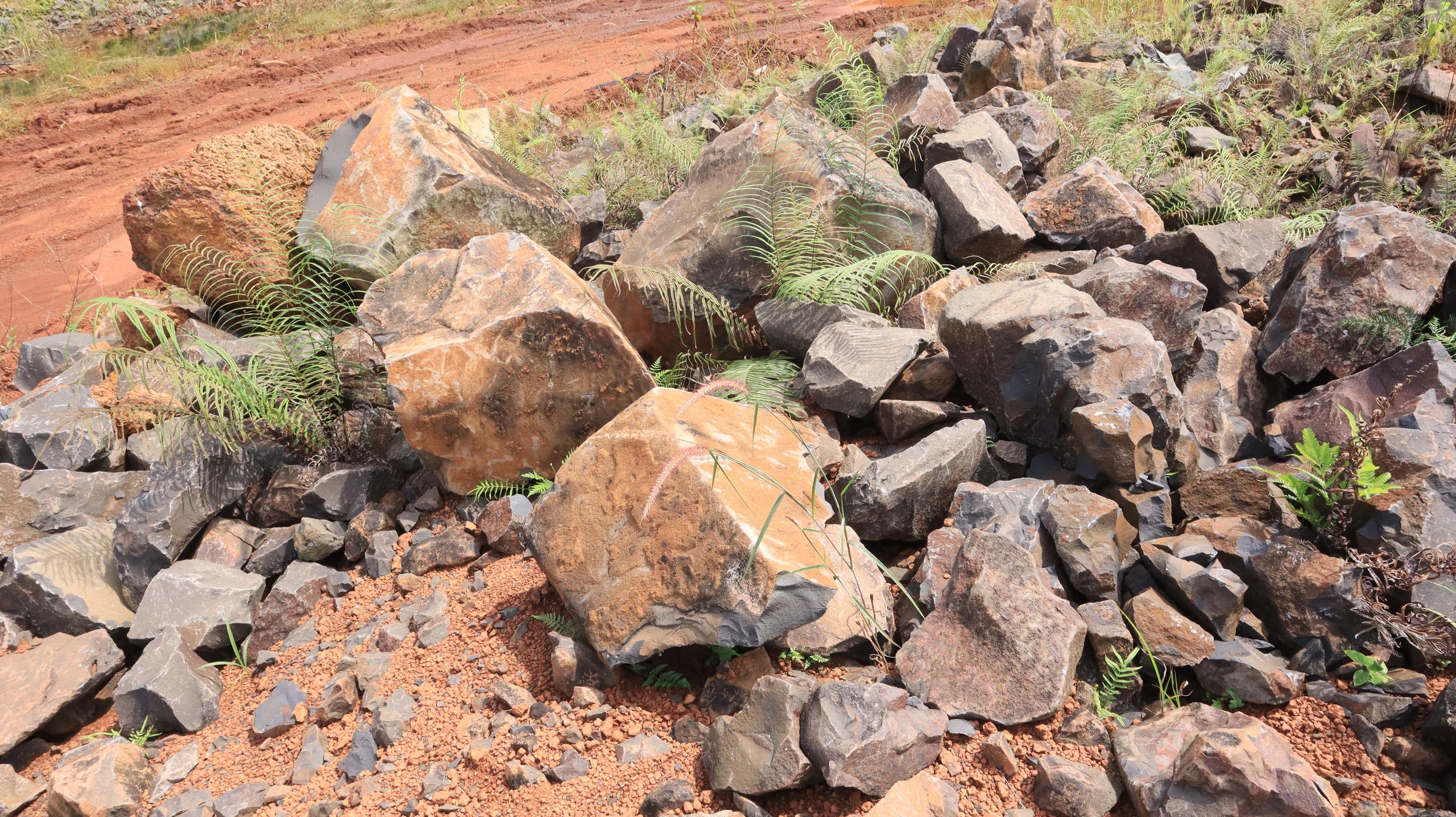 Vụ khai thác khoáng sản trái phép tại xã Bom Bo: Nằm trong đất lâm phần - Ảnh 2.