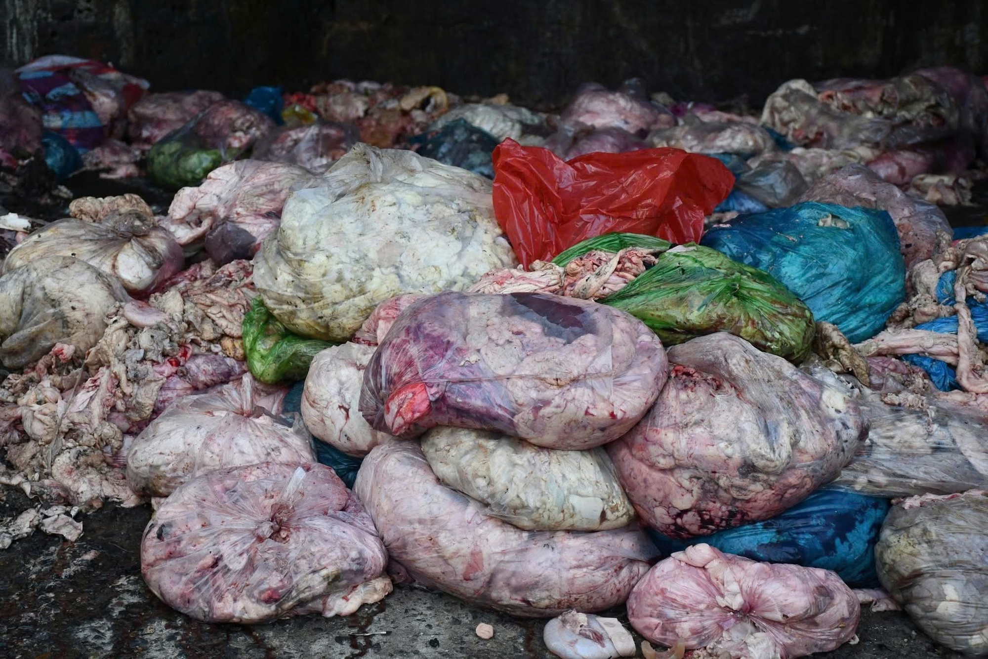 Đà Nẵng: Rùng mình cơ sở nấu mỡ động vật bẩn hoạt động giữa nghĩa trang- Ảnh 3. Đà Nẵng: Rùng mình cơ sở nấu mỡ động vật bẩn hoạt động giữa nghĩa trang- Ảnh 3.