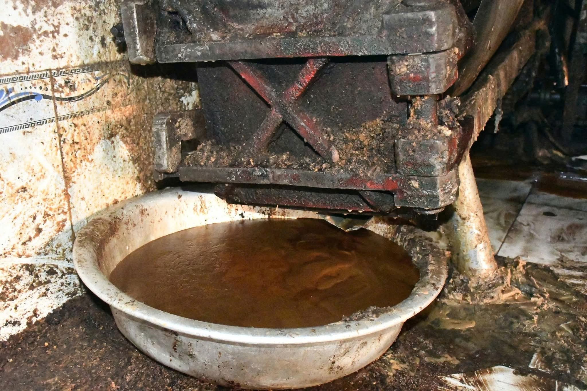 Đà Nẵng: Rùng mình cơ sở nấu mỡ động vật bẩn hoạt động giữa nghĩa trang- Ảnh 4. Đà Nẵng: Rùng mình cơ sở nấu mỡ động vật bẩn hoạt động giữa nghĩa trang- Ảnh 4.