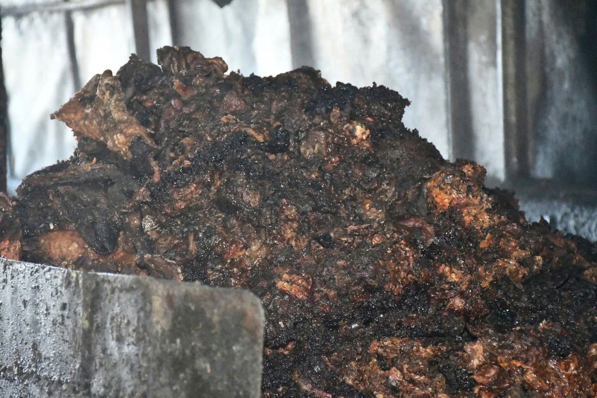 Đà Nẵng: Rùng mình cơ sở nấu mỡ động vật bẩn hoạt động giữa nghĩa trang- Ảnh 7. Đà Nẵng: Rùng mình cơ sở nấu mỡ động vật bẩn hoạt động giữa nghĩa trang- Ảnh 7.