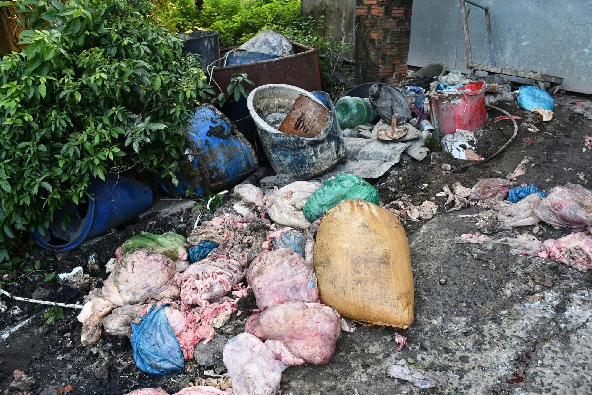 Đà Nẵng: Rùng mình cơ sở nấu mỡ động vật bẩn hoạt động giữa nghĩa trang- Ảnh 2.