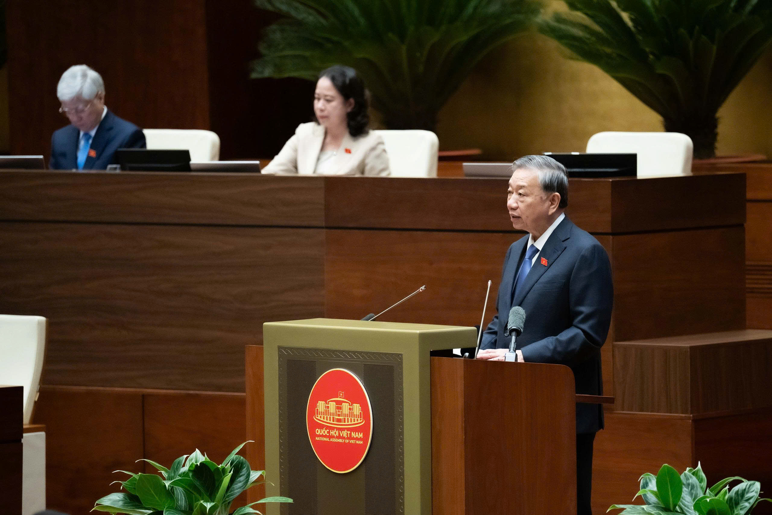 - Ảnh 2. - Ảnh 2.