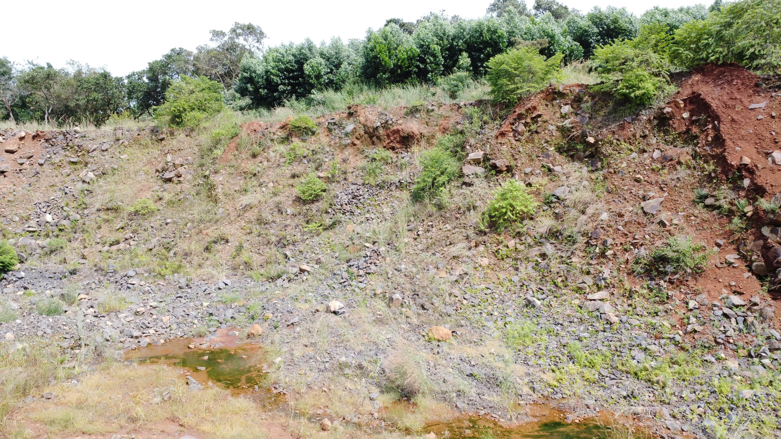 Vụ khai thác khoáng sản trái phép tại xã Bom Bo: Nằm trong đất lâm phần - Ảnh 5.