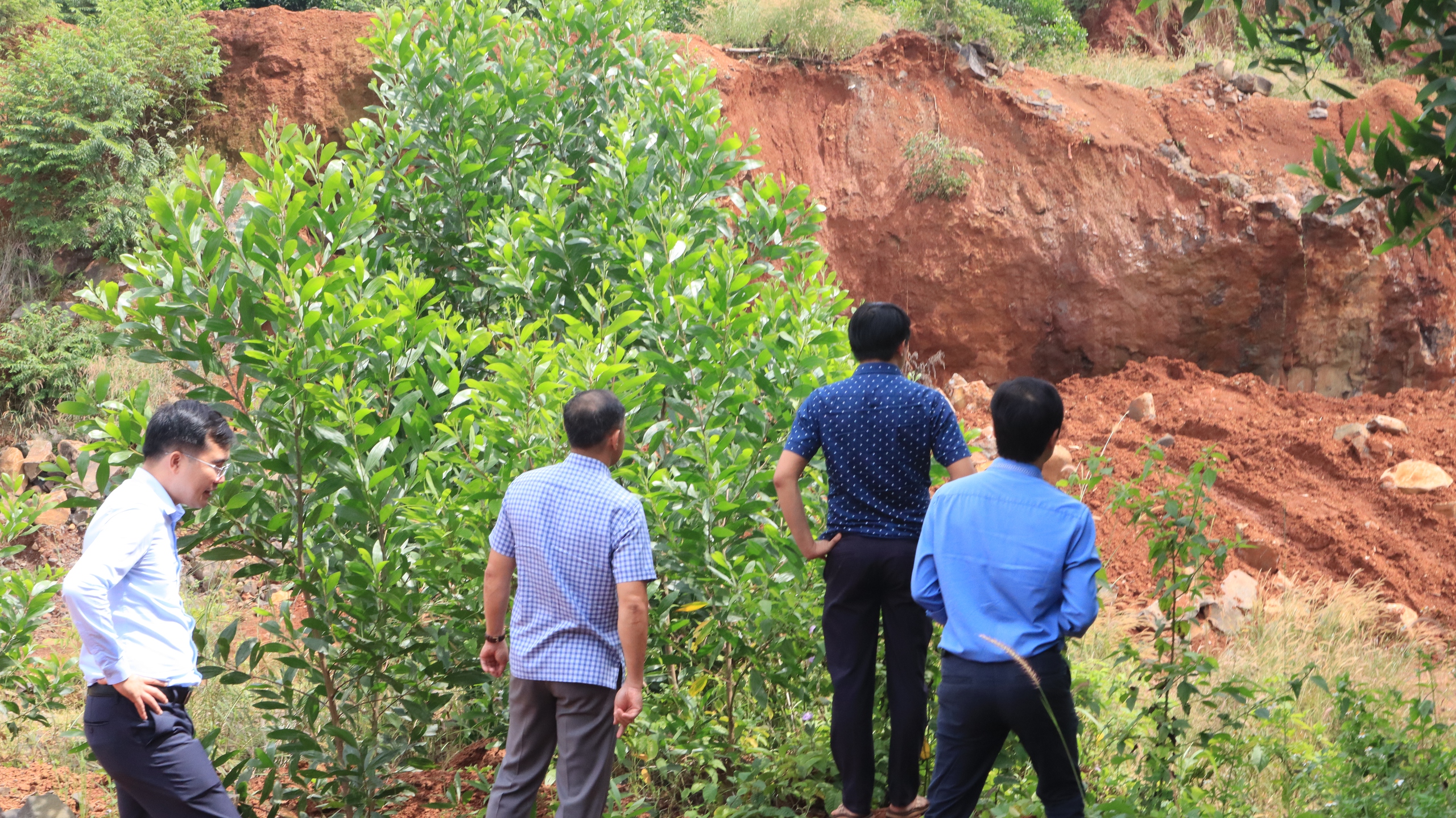Vụ khai thác khoáng sản trái phép tại xã Bom Bo: Nằm trong đất lâm phần - Ảnh 6.