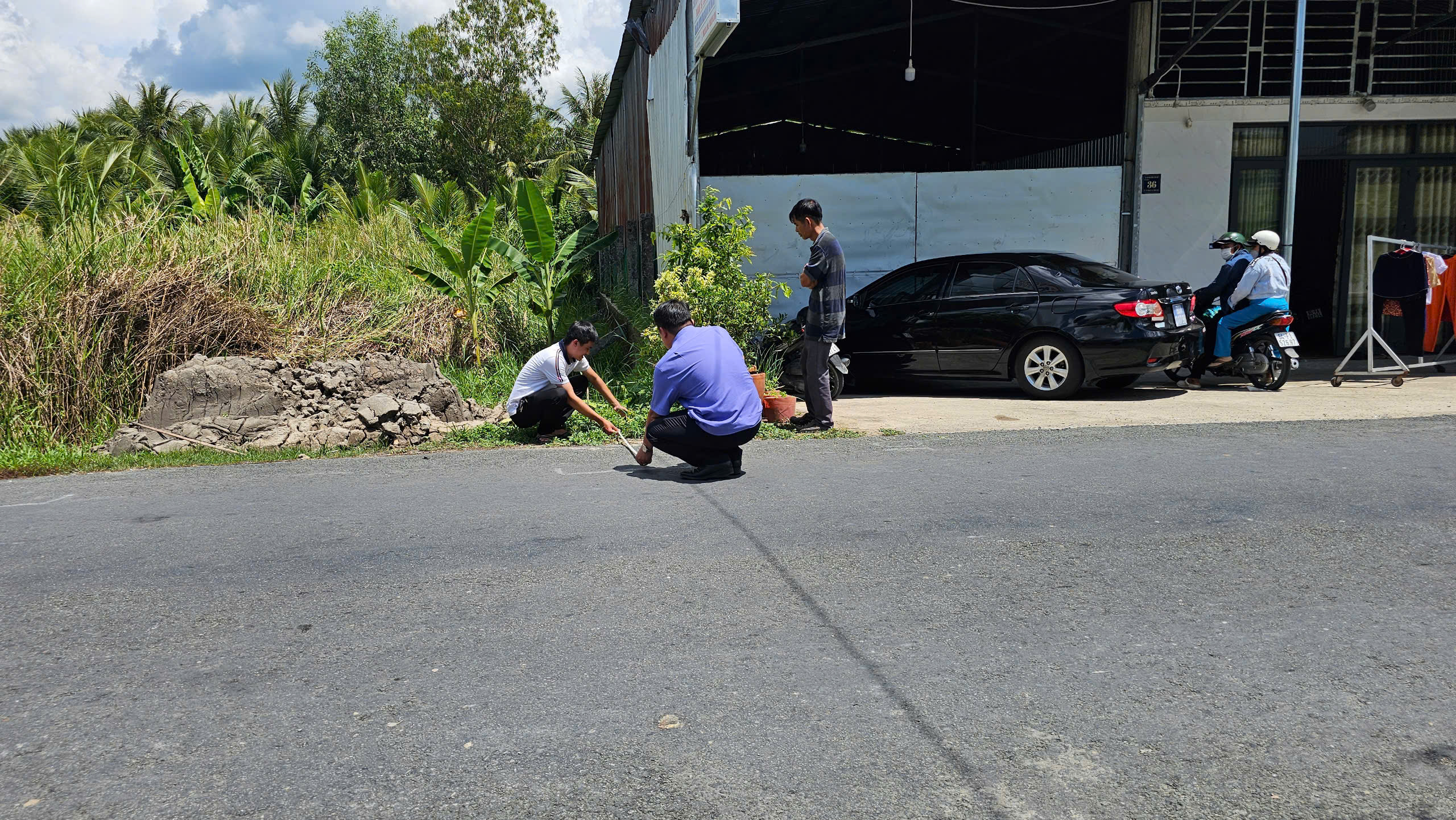 - Ảnh 3. - Ảnh 3.