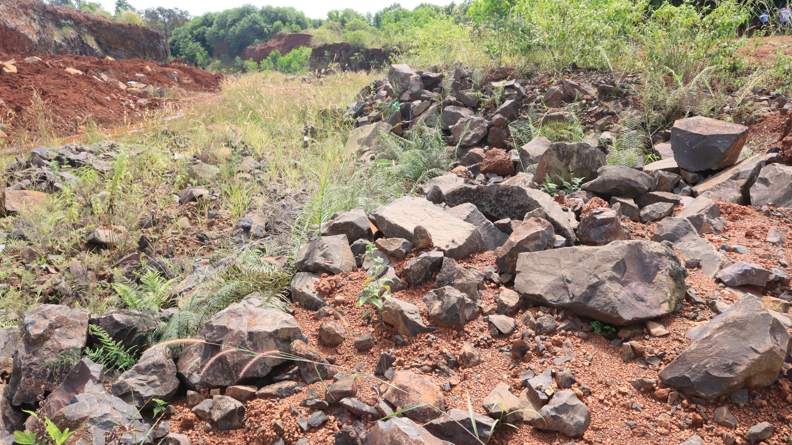Vụ khai thác khoáng sản trái phép tại xã Bom Bo: Nằm trong đất lâm phần - Ảnh 3.