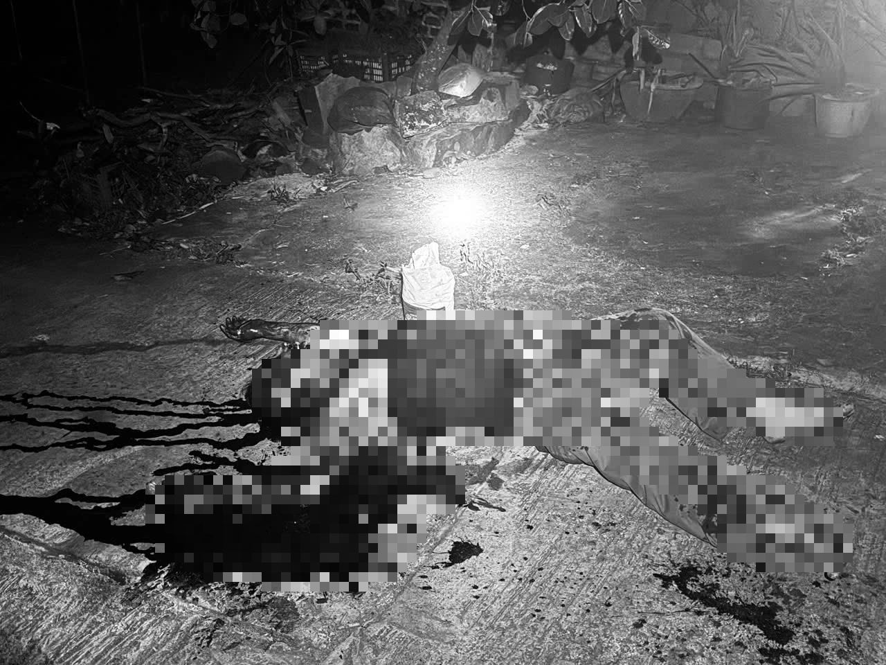 - Ảnh 1. - Ảnh 1.