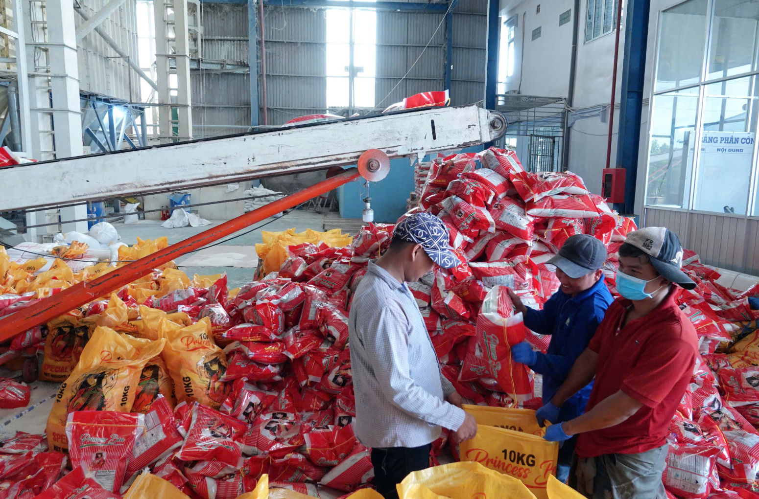 Mùa vàng nông sản Việt- Ảnh 2. Mùa vàng nông sản Việt- Ảnh 2.