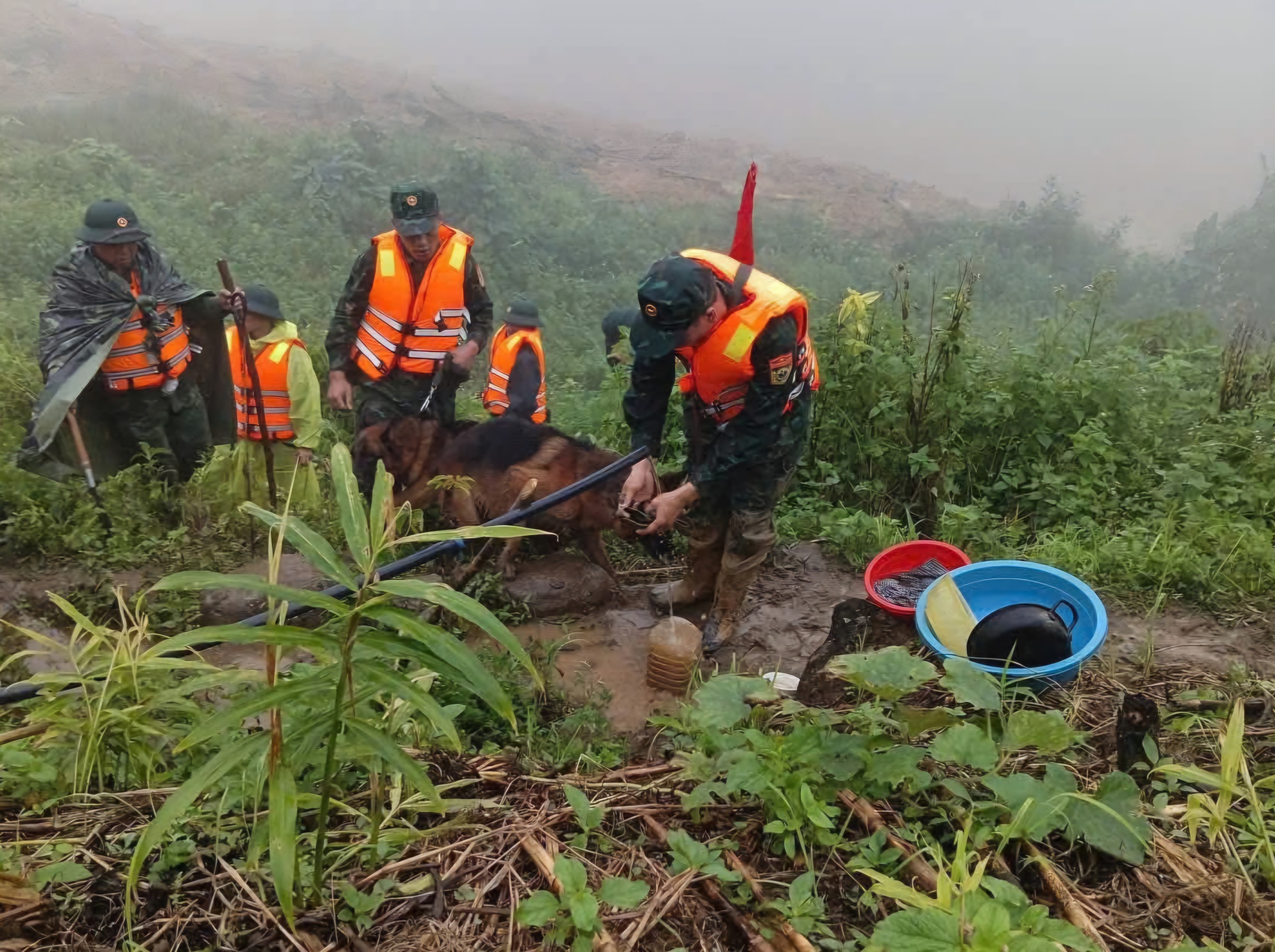 Sạt lở núi ở Đà Nẵng: Đưa chó nghiệp đến hiện trường tìm người mất tích - Ảnh 7.