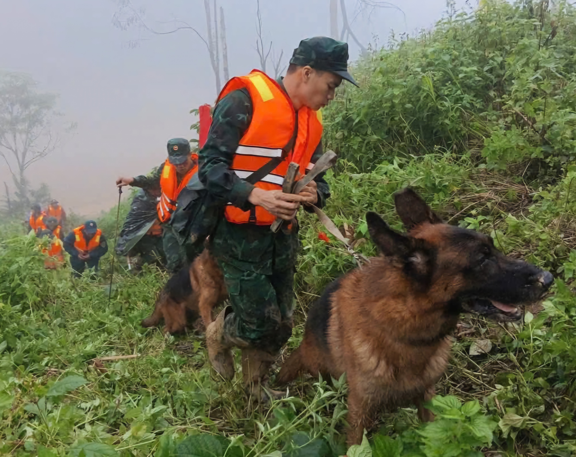 Sạt lở núi ở Đà Nẵng: Đưa chó nghiệp đến hiện trường tìm người mất tích - Ảnh 3.