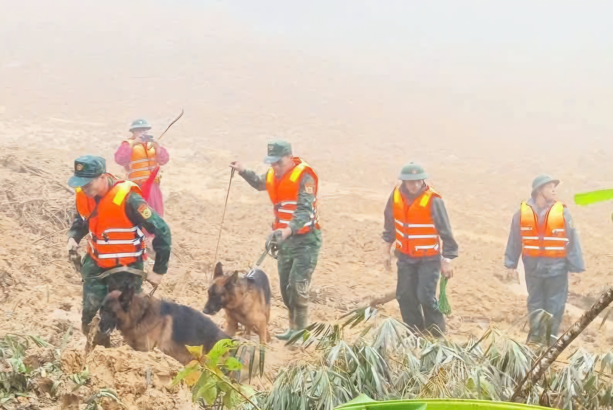 Sạt lở núi ở Đà Nẵng: Đưa chó nghiệp đến hiện trường tìm người mất tích - Ảnh 5. Sạt lở núi ở Đà Nẵng: Đưa chó nghiệp đến hiện trường tìm người mất tích - Ảnh 5.