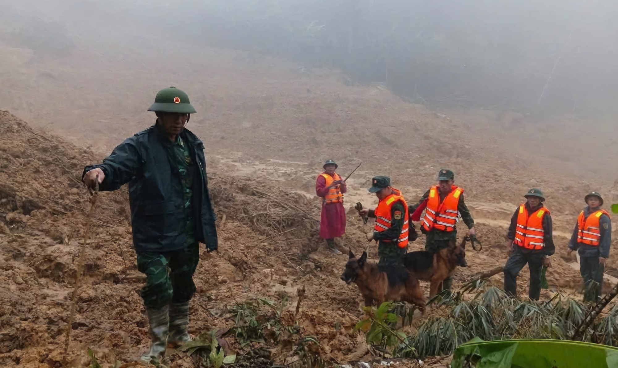 Sạt lở núi ở Đà Nẵng: Đưa chó nghiệp đến hiện trường tìm người mất tích - Ảnh 4. Sạt lở núi ở Đà Nẵng: Đưa chó nghiệp đến hiện trường tìm người mất tích - Ảnh 4.