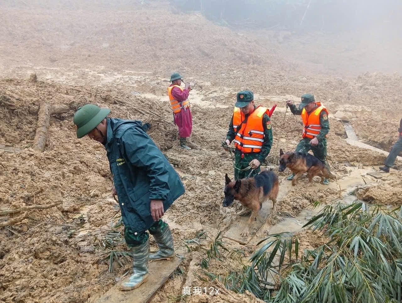 Sạt lở núi ở Đà Nẵng: Đưa chó nghiệp đến hiện trường tìm người mất tích - Ảnh 6. Sạt lở núi ở Đà Nẵng: Đưa chó nghiệp đến hiện trường tìm người mất tích - Ảnh 6.