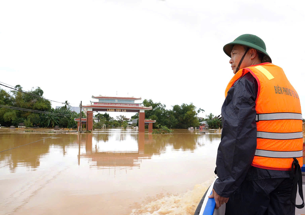 - Ảnh 2. - Ảnh 2.