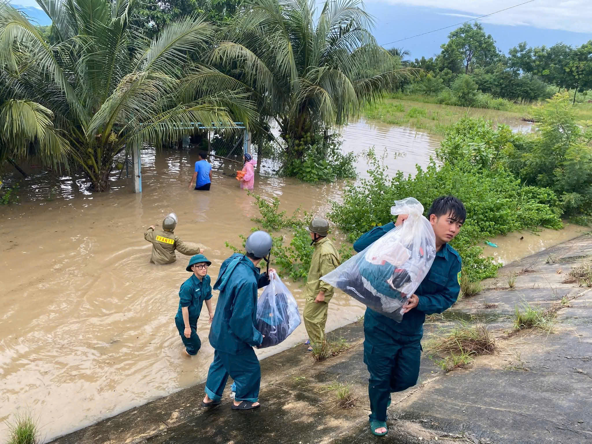 - Ảnh 6. - Ảnh 6.