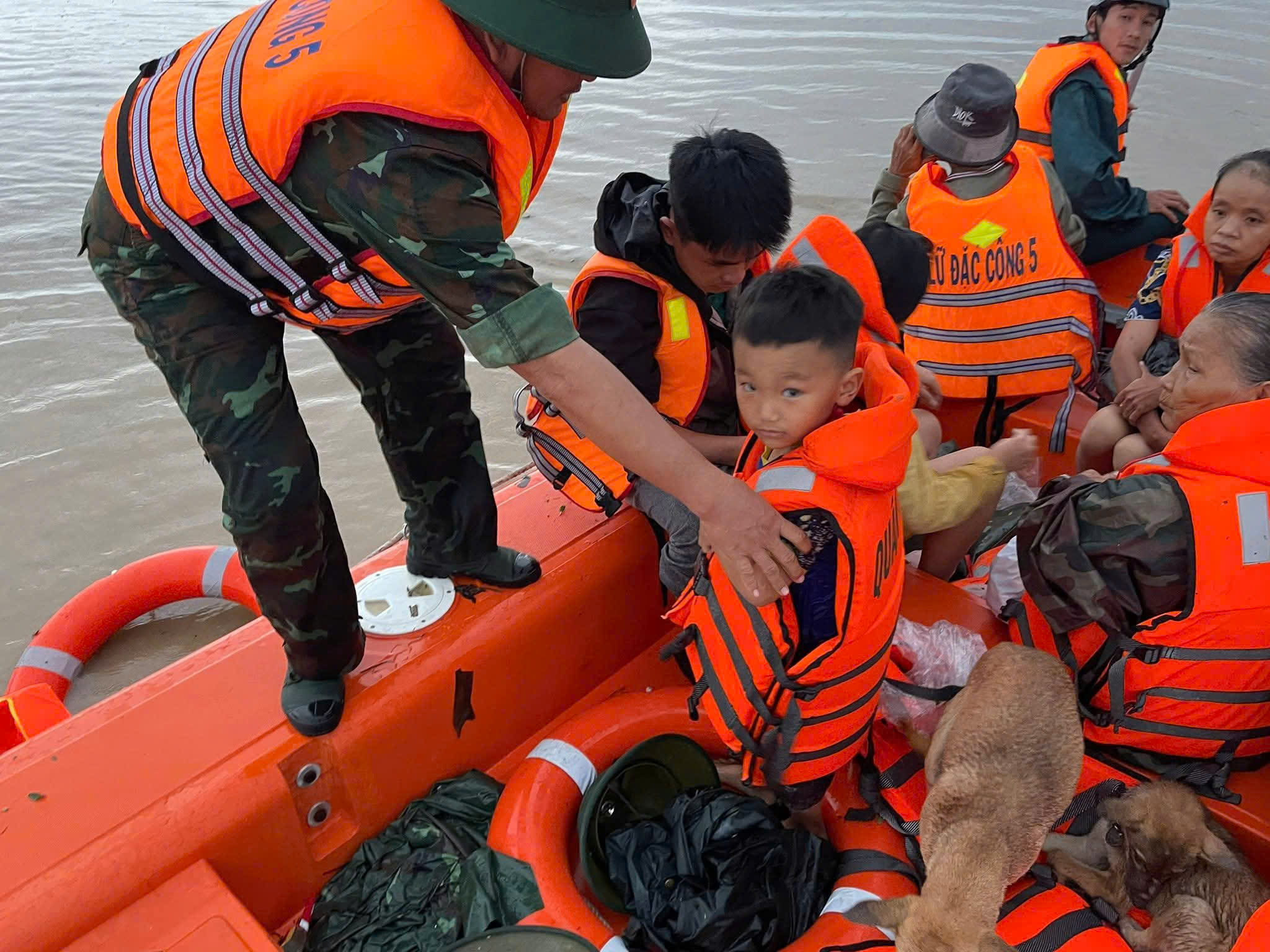 - Ảnh 5. - Ảnh 5.