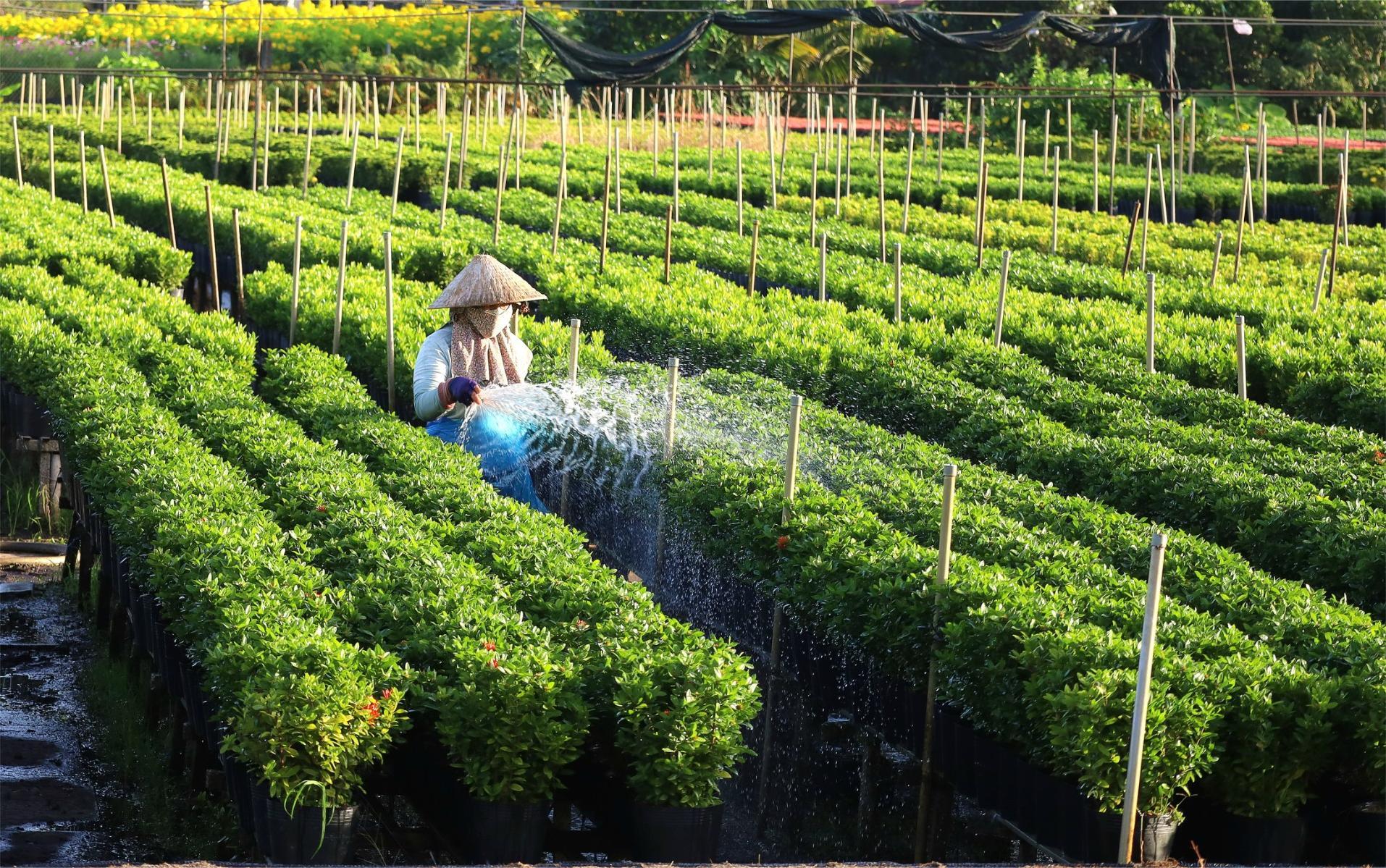 Đồng Tháp: ‘Thương hiệu’ giàu bản sắc, giàu khát vọng vươn lên- Ảnh 1.