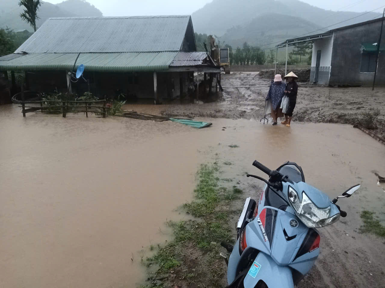 - Ảnh 2. - Ảnh 2.