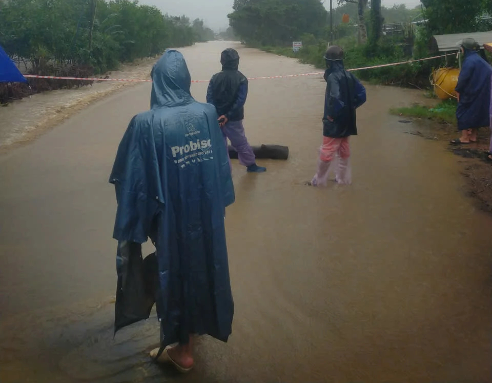 - Ảnh 1. - Ảnh 1.