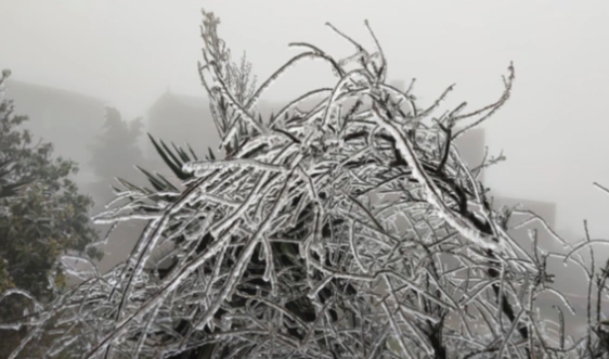 Đón không khí lạnh cực mạnh, miền Bắc rét 6 ngày, vùng núi dưới 5 độ C- Ảnh 1. Đón không khí lạnh cực mạnh, miền Bắc rét 6 ngày, vùng núi dưới 5 độ C- Ảnh 1.