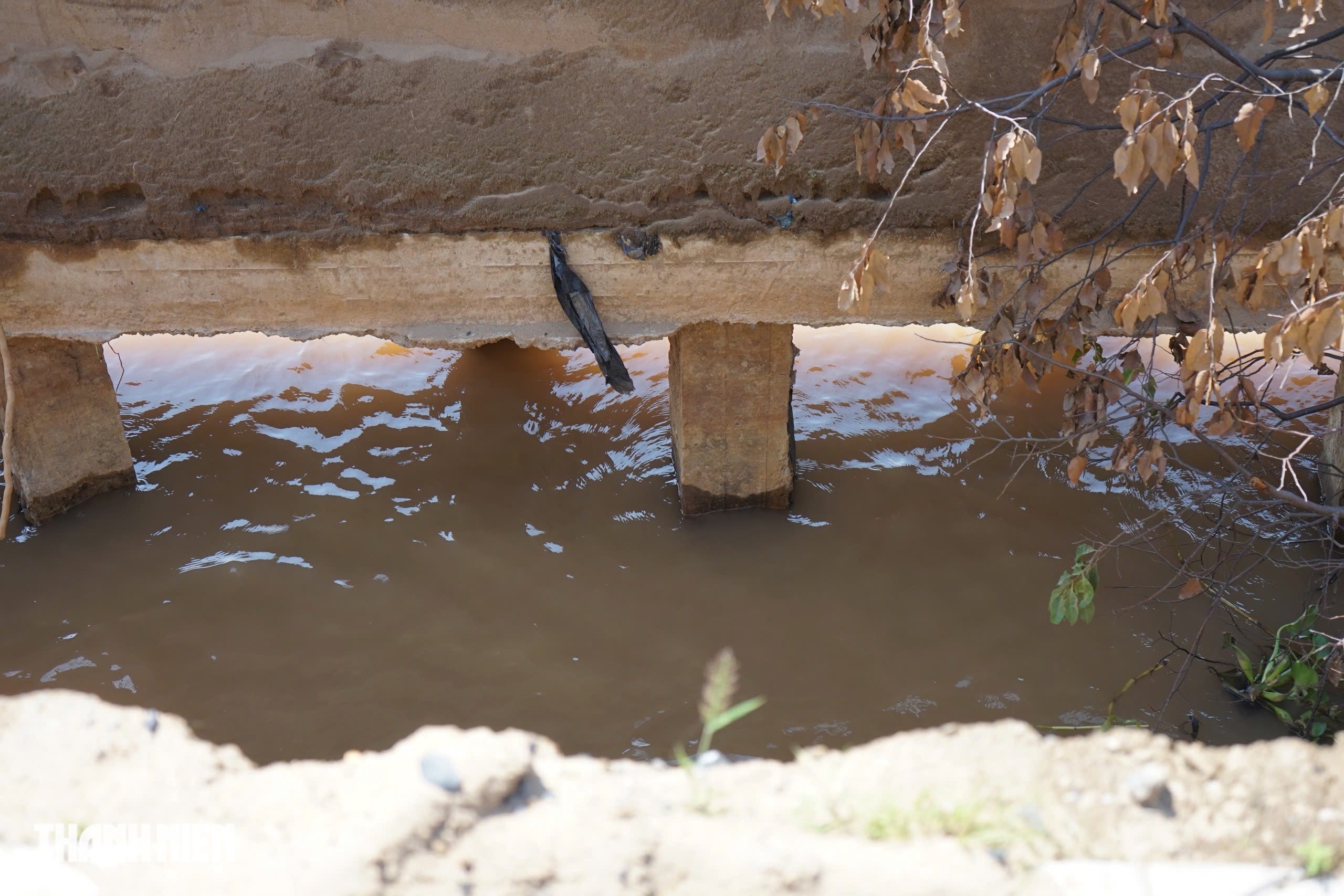 Sạt lở kè sông Tiền tại Đồng Tháp: Nguy cơ an toàn cho người dân - Ảnh 4. Sạt lở kè sông Tiền tại Đồng Tháp: Nguy cơ an toàn cho người dân - Ảnh 4.