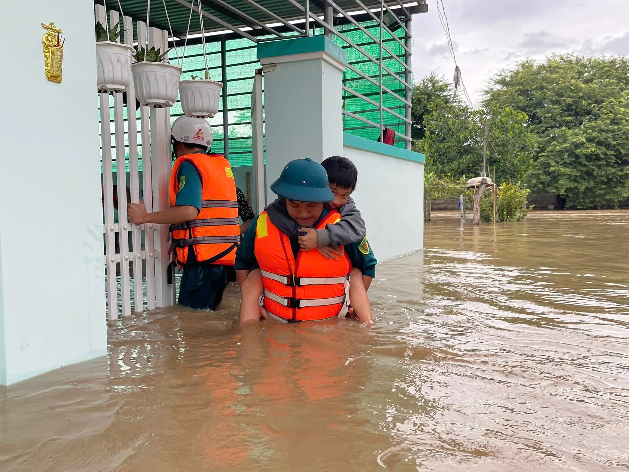 - Ảnh 2. - Ảnh 2.